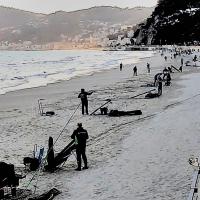 Savona20