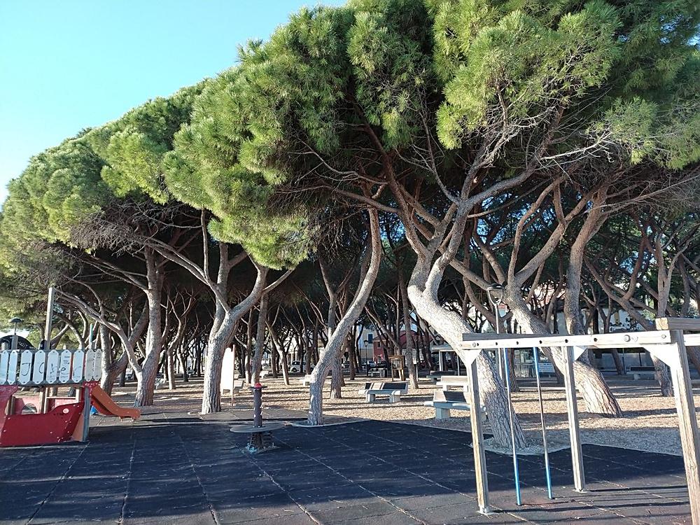 Savona16