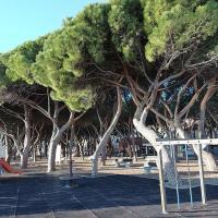 Savona16