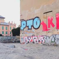 Savona15