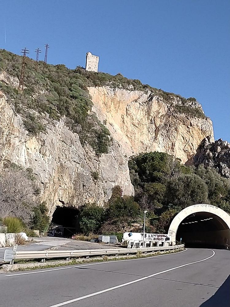 Savona9
