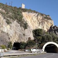 Savona9