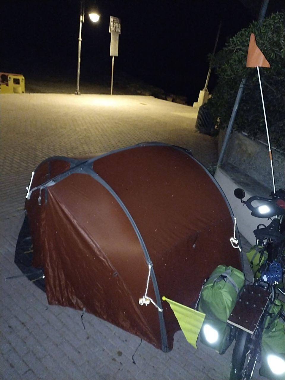 Cervo 6 