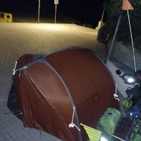 Cervo 6 