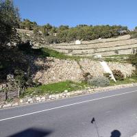 Savona4
