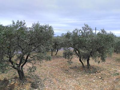 Miramas 3 01